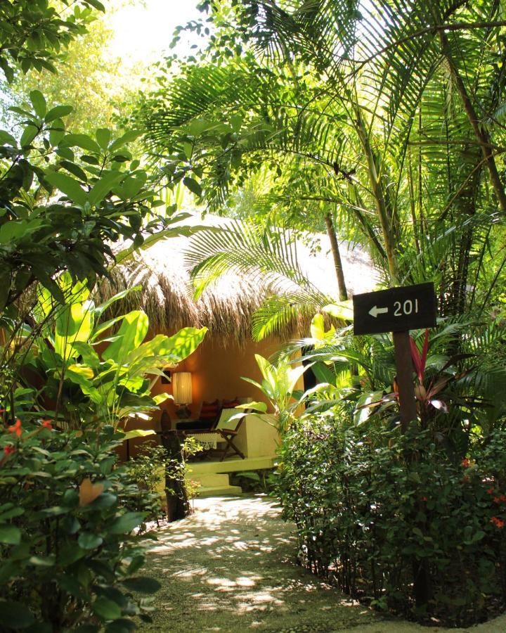 Piedra De Agua Palenque Hotel Екстериор снимка
