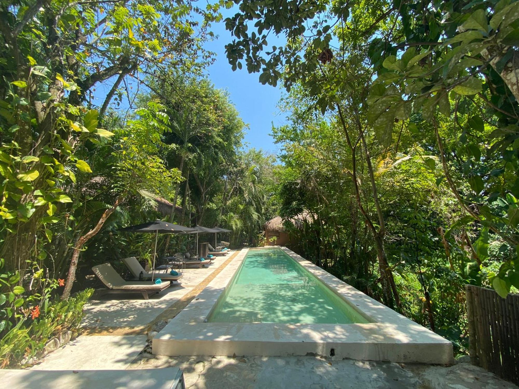 Piedra De Agua Palenque Hotel Екстериор снимка